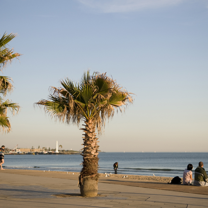 Couple sitting near palm trees and watching the sun setting on St Kilda Promenade with St Kilda marina in the distance