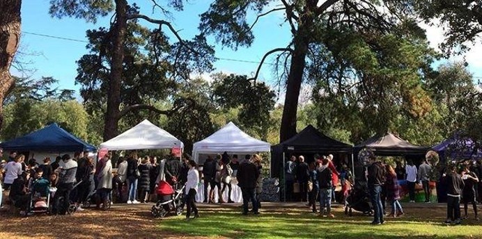 Busy market stalls surrounded by tall trees in Alma Park at Hank Marvin Market